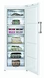 Beko FS 127930 Gefrierschrank